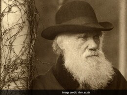 Darwin Archives, Geneva Conventions Now In UNESCO's Memory Of World Register Darwin Archives, Geneva Conventions Now In UNESCO's Memory Of World Register