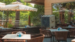 Swan Expands Its Menu For A Lavish Dining Experience With A View