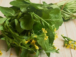 Vitamin B12 की कमी को पूरा करने के लिए रोज खाएं ये हरे पत्ते, दोगुना तेजी से बढ़ेगा विटामिन बी12 Vitamin B12 की कमी को पूरा करने के लिए रोज खाएं ये हरे पत्ते, दोगुना तेजी से बढ़ेगा विटामिन बी12