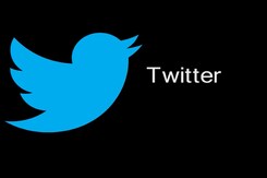 Elon Musk's New Twitter Poll Is On "General Amnesty" To Suspended Accounts Elon Musk's New Twitter Poll Is On "General Amnesty" To Suspended Accounts