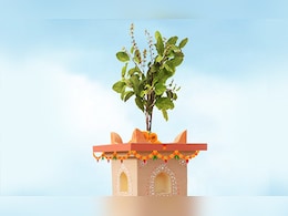 खरमास में तुलसी की पूजा को लेकर जान लें ये मान्यता, ध्यान रखना बेहद जरूरी