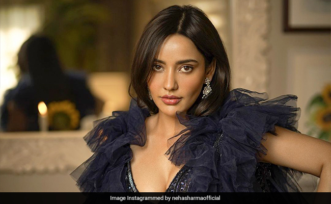 तीन साल से नहीं की एक भी फिल्म फिर भी 29 लाख रुपये महीना छाप रही हैं नेहा शर्मा, सोशल मीडिया पर इस तरह कर रही कमाई