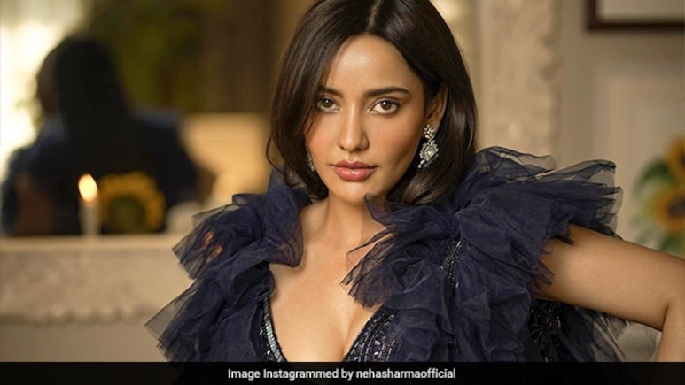 तीन साल से नहीं की एक भी फिल्म फिर भी 29 लाख रुपये महीना छाप रही हैं नेहा शर्मा, सोशल मीडिया पर इस तरह कर रही कमाई
