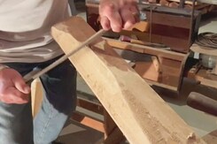 From Bud To Bat, A Unique Experience In Victoria From Bud To Bat, A Unique Experience In Victoria