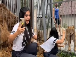 Video:खूंखार शेरनी और भालू के साथ सेल्फी ले रही थी लड़की, तभी पिंजरे से पंजा निकालकर घसीट डाला! Video:खूंखार शेरनी और भालू के साथ सेल्फी ले रही थी लड़की, तभी पिंजरे से पंजा निकालकर घसीट डाला!