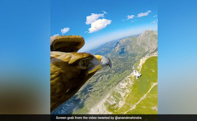 Anand Mahindra's "Bird's Eye View" Post Has Monday Motivation Message: "Always Start With Big Picture"