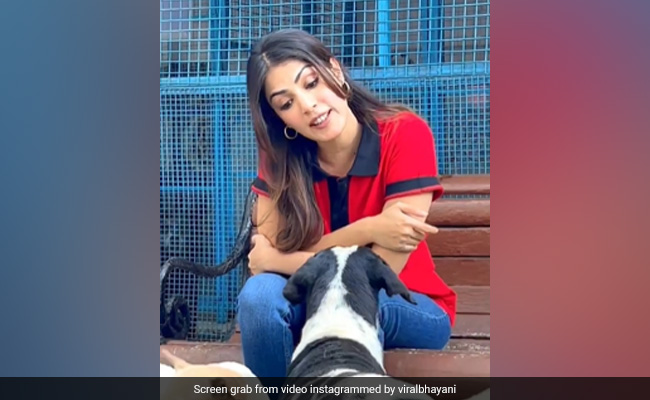 डॉग से अंग्रेजी में बात करने पर ट्रोल हुईं Rhea Chakraborty, लोग बोले- ये इंग्लैंड का नहीं, इंडिया का डॉग है