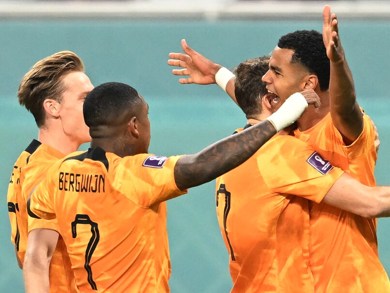 Netherlands vs Ecuador FIFA World Cup 2022 Live: Ecuador Building Pressure After Gakpo's Opener; NED 1-0 ECU