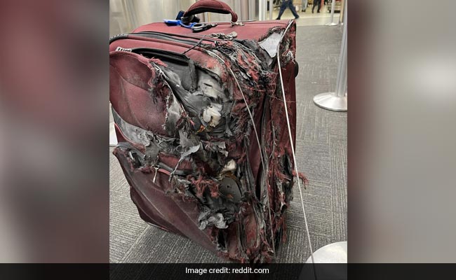 Viral Image Of A 'Chewed Up' Suitcase Leaves Travellers Fearing For Their Luggage