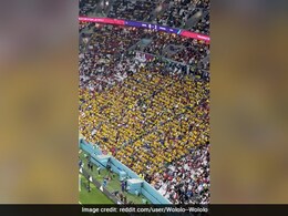 FIFA Launches Case Over Ecuador Fans' World Cup Chants