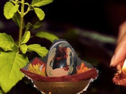 6 जुलाई को है देवशयनी एकादशी, इस दिन शालिग्राम की पूजा का क्या है नियम, जानिए ज्योतिषाचार्य से 6 जुलाई को है देवशयनी एकादशी, इस दिन शालिग्राम की पूजा का क्या है नियम, जानिए ज्योतिषाचार्य से