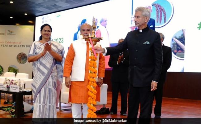 Concentrated Global Push Of Millets Needed Amid Ukraine War: S Jaishankar