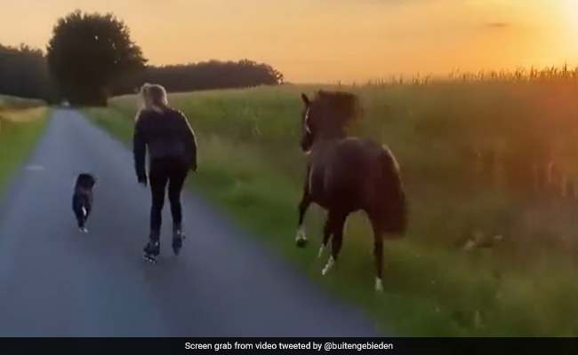 Viral Video Of A Woman Skating With Her Pet Dog And Horse Will Warm Your Heart