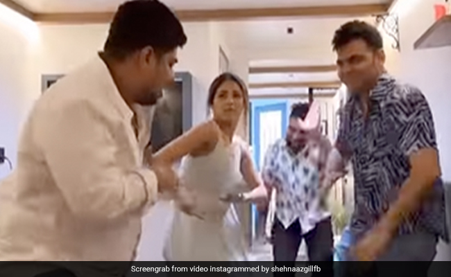 Shehnaaz Gill Dances To Janhvi Kapoor's <I>Zingaat</I>. That's It. That's The Post