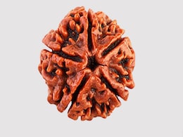इस महाशिवरात्रि रुद्राक्ष पहनना चाहते हैं तो ये जरूरी बात जान लें, बढ़ जाएगा Rudraksha का महत्व! इस महाशिवरात्रि रुद्राक्ष पहनना चाहते हैं तो ये जरूरी बात जान लें, बढ़ जाएगा Rudraksha का महत्व!