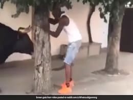 सांड को छेड़ रहा था शख्स, गुस्साए जानवर ने सींग फंसाकर उठाया और ज़ोर से घुमाया, किया बुरा हाल सांड को छेड़ रहा था शख्स, गुस्साए जानवर ने सींग फंसाकर उठाया और ज़ोर से घुमाया, किया बुरा हाल