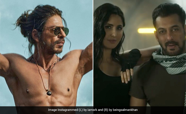 सलमान खान की 'टाइगर 3' में नजर आएंगे शाहरुख खान, भाईजान की फिल्म में 'पठान' करेगा धमाका