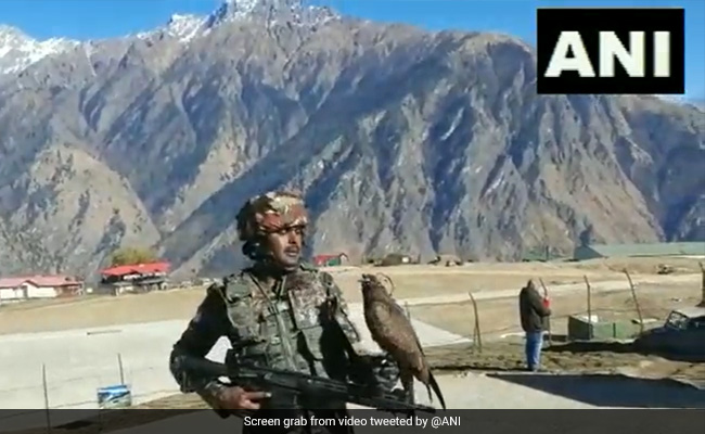 Indian Army Trains Kites To Prey On Enemy Drones