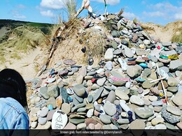 ''Wildlife At Risk'': '<i>Harry Potter</i>' Fans Asked To Stop Leaving Socks At Dobby's Grave On Wales Beach ''Wildlife At Risk'': '<i>Harry Potter</i>' Fans Asked To Stop Leaving Socks At Dobby's Grave On Wales Beach