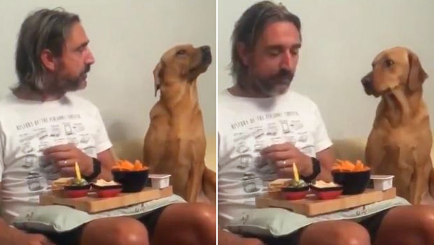 Viral Video: Cute Dog Pretending He's Not Hungry Is Too Funny To Miss