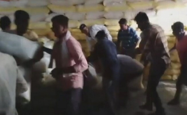 Watch: Protest For Fertiliser Ends In Loot, Madhya Pradesh Congress MLA Charged