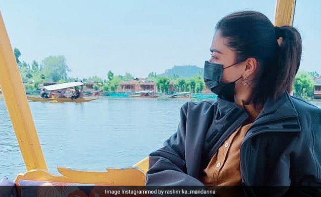 Rashmika Mandanna On Receiving Hate: "It's Heart Breaking And Demoralising"