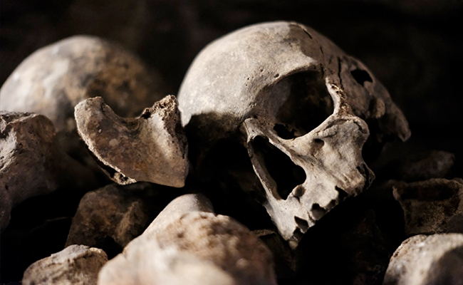 Ancient DNA Reveals Hidden Human Past: Study