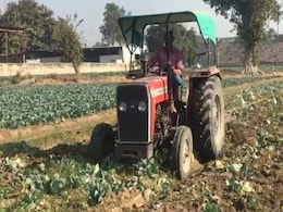 सब्जियों के दाम गिरने से ग्राहक खुश और किसान परेशान, कीमत न मिलने से फसल पर चला रहे ट्रैक्टर सब्जियों के दाम गिरने से ग्राहक खुश और किसान परेशान, कीमत न मिलने से फसल पर चला रहे ट्रैक्टर