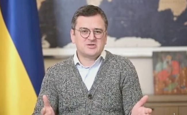 ''If You (India) Benefit From Our Suffering...": Ukraine Minister's Message
