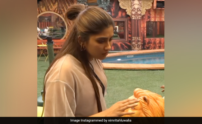 <i>Bigg Boss 16</i>: Nimrit Kaur, Safe From This Week's Elimination, Said This About Ankit Gupta