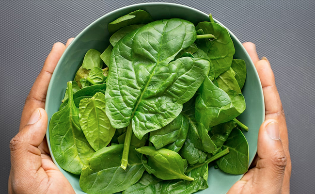 Devil's Trumpet, A Toxic Weed, Behind Hallucinations In Australia's Spinach Crisis