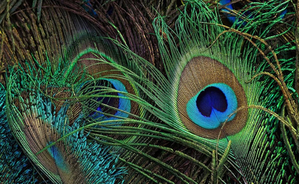 Latest and Breaking News on NDTV Latest and Breaking News on NDTV