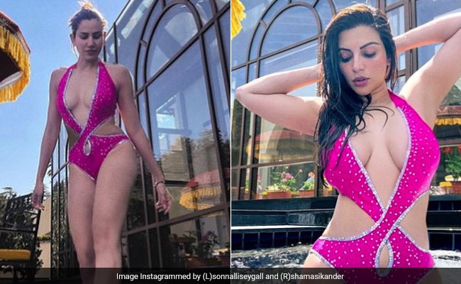 Sonnalli Seygall Or Shama Sikander, Who Wore The Hot Pink Cutout Swimsuit Better?