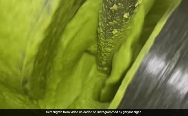 Australian Chef Gary Mehigan Reveals He Has A Soft Spot For This '<i>Chutney</i>'
