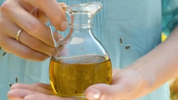 Mustard Oil As Good As Olive Oil? Other Desi Foods That Are Just As Good