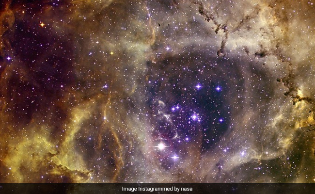 "Star Cluster Shaped Like Human Skull": NASA Shares Spooky Shot Of Rosette Nebula