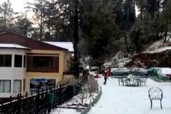 शिमला में ताजा बर्फबारी देखकर पर्यटकों को चेहरे खिले शिमला में ताजा बर्फबारी देखकर पर्यटकों को चेहरे खिले