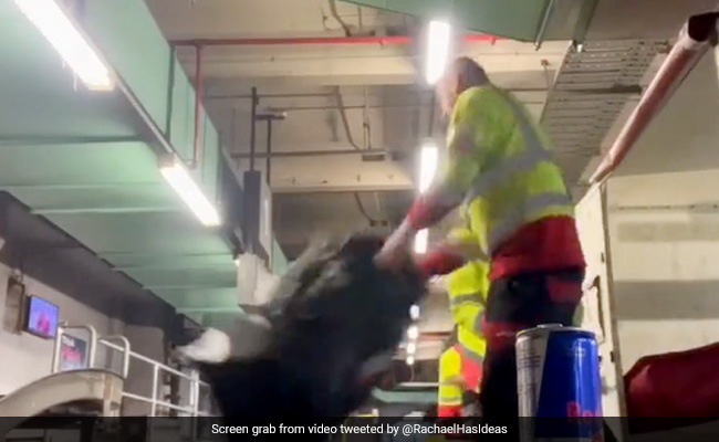 Watch: Baggage Handlers Seen Kicking And Throwing Luggage At Melbourne Airport, Airline Takes Action