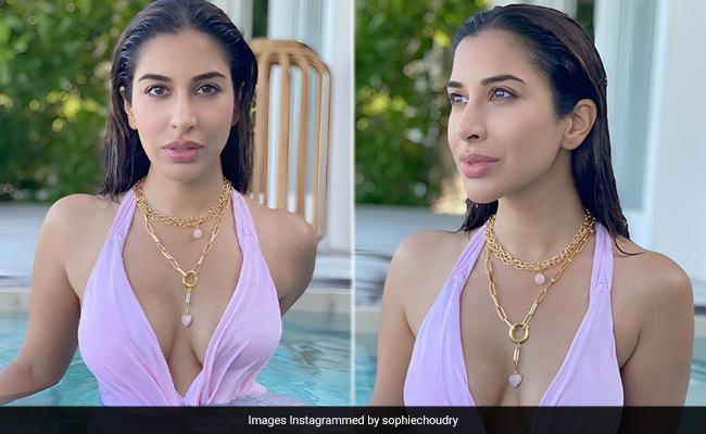 "Bet I Made You Look"? In A Pastel Pink Swimsuit, Yes Sophie Choudry, You Certainly Did