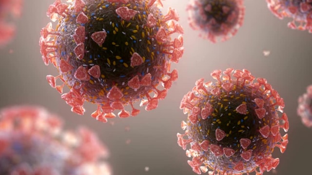 So far, 16 cases of Covid have been confirmed in Andhra Pradesh