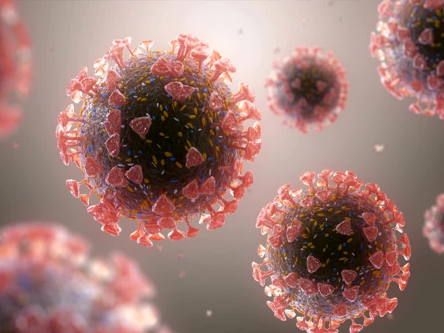So far, 16 cases of Covid have been confirmed in Andhra Pradesh