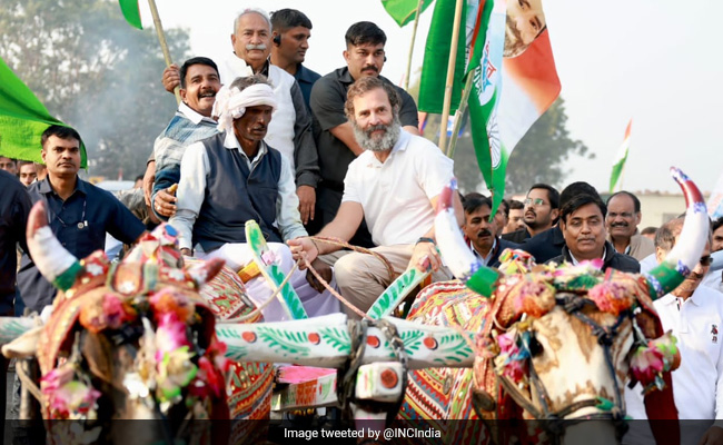 "Why Do You Say Jai Sree Ram, Not Jai Siyaram"? Rahul Gandhi To RSS, BJP