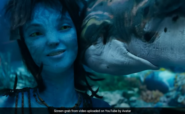 <i>Avatar: The Way Of Water</i> Box Office Collection Day 1 - A "Fantabulous" Opening At Rs 41 Crore