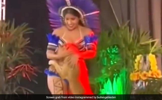 Video: Dog Interrupts Performance On Stage, Internet Praise Dancer's Composure
