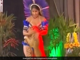 Video: Dog Interrupts Performance On Stage, Internet Praise Dancer's Composure Video: Dog Interrupts Performance On Stage, Internet Praise Dancer's Composure