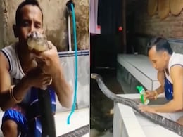 किंग कोबरा को रगड़ रगड़कर शैंपू से नहलाता नजर आया लुंगी पहना शख्स, Video देख कांप उठेगा कलेजा! किंग कोबरा को रगड़ रगड़कर शैंपू से नहलाता नजर आया लुंगी पहना शख्स, Video देख कांप उठेगा कलेजा!