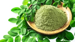 Eat Your Greens: Impact Of Moringa Leaves On Blood Sugar Levels&nbsp;&nbsp;