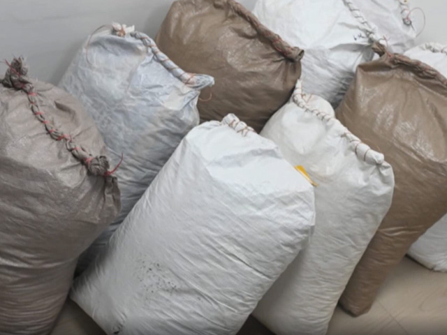 Ganja Worth Rs 10 Lakh Seized In Andhra Pradesh