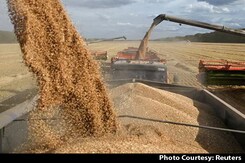 Over 80 Crore To Get Free Foodgrain For A Year In New Scheme Over 80 Crore To Get Free Foodgrain For A Year In New Scheme