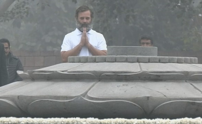 On Rahul Gandhi's Yatra To End In Kashmir, Minister's "Disturbance" Jibe